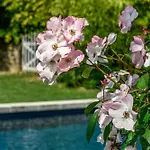 Historic Estate Overlooking The Dordogne Сasa de vacaciones *
