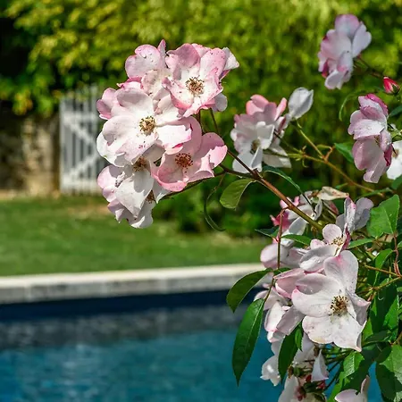 Historic Estate Overlooking The Dordogne Ferienhaus *